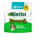 Minties VetIQ Dog Dental Bone Treats, Dental Chews for Medium/Large Dogs (Over 40 Lbs), 32 Ounces, Green, 40 Count