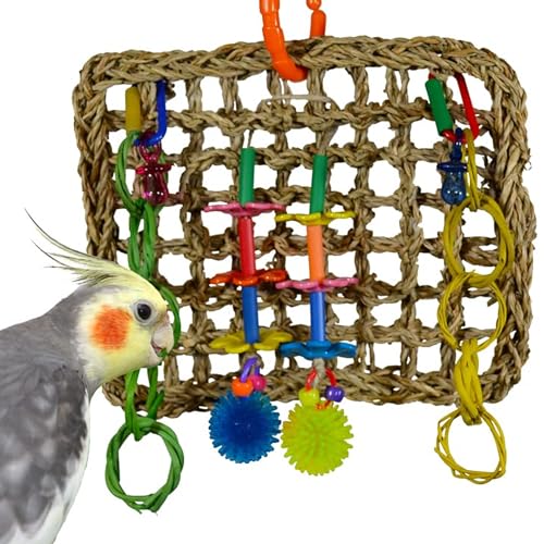 Super Bird Creations SB741 Seagrass Mini Activity Wall Bird Toy, Medium Bird Size, 9” x 7” x 2”
