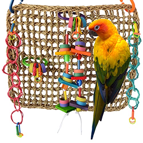 Super Bird Creations 12 by 14-Inch Activity Wall Bird Toy, Medium