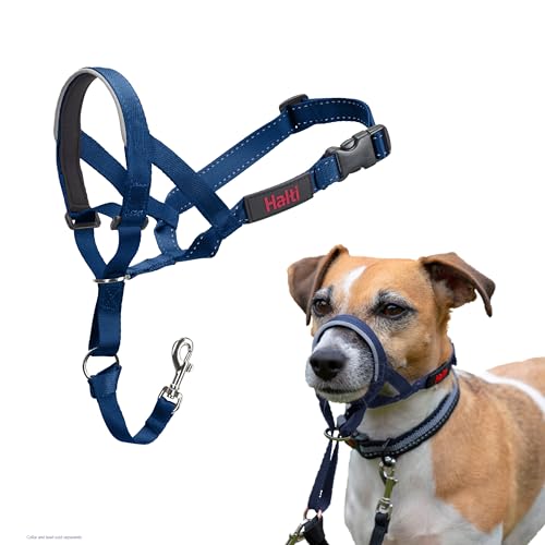 HALTI Headcollar - to Stop Your Dog Pulling on The Leash. Adjustable, Reflective and Lightweight, with Padded Nose Band. Dog Training Anti-Pull Collar for Small Dogs (Size 1, Cobalt Blue)