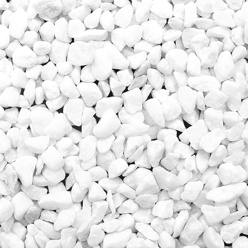 BELLE VOUS Decorative Stones White Pebbles Natural (3.6 kg Bag) - 1.2 cm Mini Assorted Decorative Pebbles - Mixed River Gravel for Vase Fillers, Plant Pots, Landscaping, Aquariums, Home and Garden