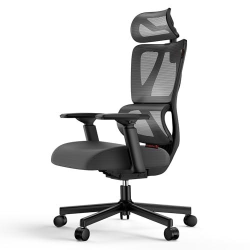ProtoArc EC100 Ergonomic Office Chair - Computer Desk Chair with 10cm Thicker Spring Cushion, Adaptive Lumbar Support, Adjustable Armrest&Headrest Mesh Swivel Chair Gaming for Home Office, Dark Black