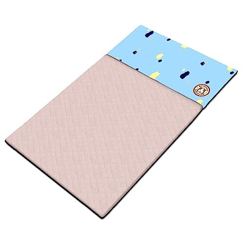GuineaDad Premium Liner - Rainy Day Fleece Guinea Pig Bedding - Ultra-Plush Reusable Guinea Pig Cage Liner - AirCell Technology - Extra Absorbent Bamboo Pet Supplies - Waterproof Bottom - 2x4 C&C