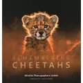 Remembering Cheetahs: 5