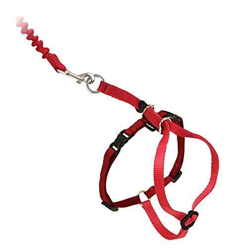 PetSafe Come With Me Kitty Harness and Bungee Leash, Harness for Cats, Small, Red/Cranberry