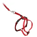 PetSafe Come With Me Kitty Harness and Bungee Leash, Harness for Cats, Small, Red/Cranberry
