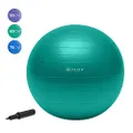Gaiam Total Body Balance Ball Kit - Includes 65cm Anti-Burst Stability Exercise Yoga Ball, Air Pump, Workout Program