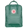 Fjallraven F23510 - Kanken Classic Pack, Heritage and Responsibility Since 1960, One Size,Frost Green
