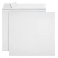 100 9 X 12 Self Seal Security Catalog Envelopes - Designed for Secure Mailing - Securely Holds up to 60 Sheets of Paper with Strong Peel and Seal Flap (100 Envelopes)