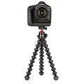 Joby JB01508 GorillaPod 5K Kit Professional Tripod 5K Stand and Ballhead 5K for DSLR Cameras or Mirrorless Camera with Lens up to 5K (11lbs),Black/Charcoal.