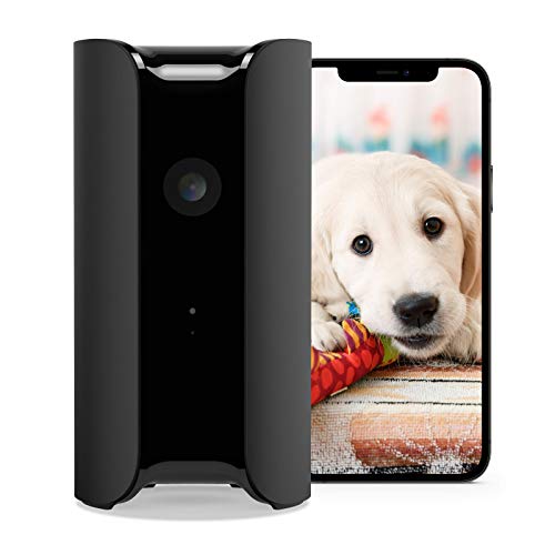 Canary View Indoor Home Security Camera 1080p HD WiFi IP | 24/7 Watch Live Video, Motion Alerts, Two-Way Talk, Night Vision, 10x Zoom, Private Mode, Works with Alexa, Google Assistant and More