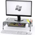 SimpleHouseware Metal Desk Monitor Stand Riser with Organizer Drawer, Silver