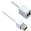GE USB Extension Cable, 6 ft Long Cord, Male-to-Female Connectors, White, 33753