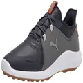 PUMA Men's Technical Sport Shoes Golf, Navy Blazer-puma Silver-quiet Shade, 9
