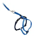 PetSafe Come With Me Kitty Harness and Bungee Leash, Harness for Cats, Medium, Royal Blue/Navy