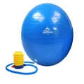 Black Mountain Products Static Strength Exercise Stability Ball with Pump, 2000 lb/55cm, Blue