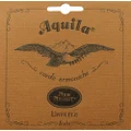 Aquila Strings AQ-4U Nylgut "Regular G" Soprano Ukulele Strings