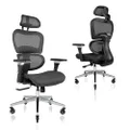 Nouhaus Ergo3D Ergonomic Office Chair Lumbar Support Mesh Office Chair with 4D Adjustable Armrest, Adjustable Headrest and Wheels, Mesh High Back Home Office Desk Chairs(Black)