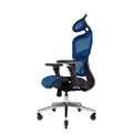 Nouhaus Ergonomic Office Chair Lumbar Support Mesh Office Chair with 4D Adjustable Armrest, Adjustable Headrest and Wheels, Mesh High Back Home Office Desk Chairs(Blue)