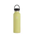 Hydro Flask Standard Mouth Flex Cap Bottle - Stainless Steel Reusable Water Bottle - Vacuum Insulated, Dishwasher Safe, BPA-Free, Non-Toxic,Pineapple,21 oz,S21SX750