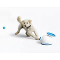 iFetch Automatic Dog Ball Launcher for Small to Medium Dogs, Indoor/Outdoor Interactive Toy Machine, Includes 3 Mini Tennis Balls