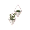 Umbra Trigg Hanging Planter Vase and Geometric Wall Decor Container, Set of 2, Small, Concrete/Copper