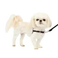 PetSafe Easy Walk No-Pull Dog Harness - The Ultimate Harness to Help Stop Pulling - Take Control & Teach Better Leash Manners - Helps Prevent Pets Pulling on Walks - Petite, Black/Silver