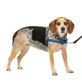 PetSafe Easy Walk No-Pull Dog Harness - The Ultimate Harness to Help Stop Pulling - Take Control & Teach Better Leash Manners - Helps Prevent Pets Pulling on Walks - Small/Medium, Royal Blue/Navy Blue