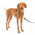 PetSafe Easy Walk No-Pull Dog Harness - The Ultimate Harness to Help Stop Pulling - Take Control & Teach Better Leash Manners - Helps Prevent Pets Pulling on Walks - Medium, Fawn/Brown