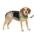 PetSafe Easy Walk No-Pull Dog Harness - The Ultimate Harness to Help Stop Pulling - Take Control & Teach Better Leash Manners - Helps Prevent Pets Pulling on Walks - Small/Medium, Apple Green/Gray