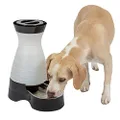 PetSafe Healthy Pet Water Station, Dog and Cat Water System with Stainless Steel Bowl, Medium, 128 oz.