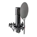 SE Electronics - 2200 Large Diaphragm Cardioid Condenser Mic with Shockmount and Filter