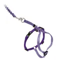 PetSafe Come With Me Kitty Harness and Bungee Leash, Harness for Cats, Small, Lilac/Bright Purple
