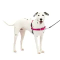 PetSafe Easy Walk No-Pull Dog Harness - The Ultimate Harness to Help Stop Pulling - Take Control & Teach Better Leash Manners - Helps Prevent Pets Pulling on Walks - Medium/Large, Raspberry/Gray