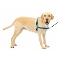 PetSafe Easy Walk Dog Harness, No Pull Dog Harness, Royal Blue/Navy Blue, Large