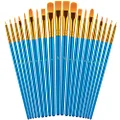 Paint Brushes Set, 2Pack 20 Pcs Paint Brushes for Acrylic Painting, Oil Watercolor Acrylic Paint Brush, Artist Paintbrushes for Body Face Rock Canvas, Kids Adult Drawing Arts Crafts Supplies, Blue