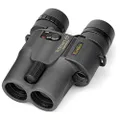 Kenko Image Stabilization Binocular VcSmart 10x30, Full Multi-coarting for Sports, Concerts and Outdoor 031940