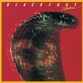 Strikes [Audio CD] Blackfoot