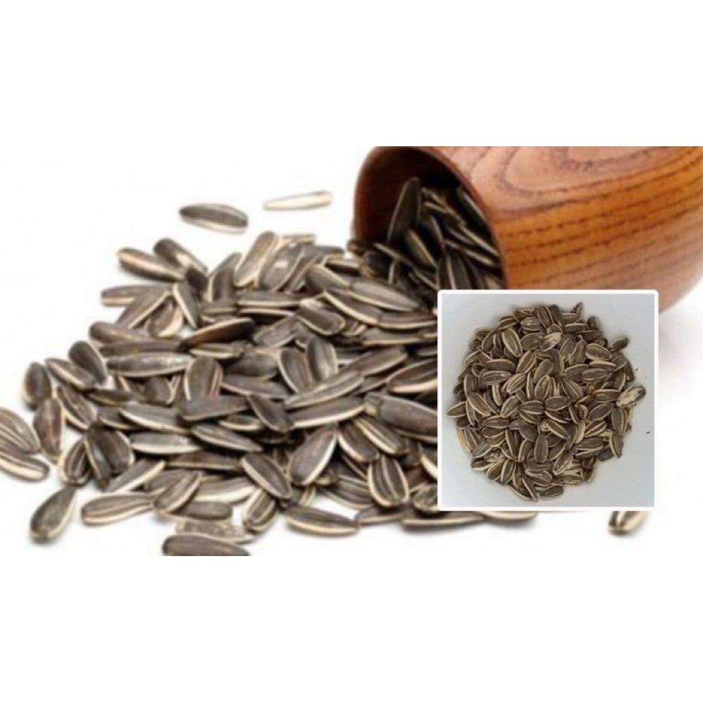 (Ready Stock) Sunflower Seed / Kuaci / Biji Matahari (Makanan Hamster/Burung Nuri/Parrot)-Repacking