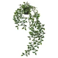 ??READY STOCK?? IKEA FEJKA Artificial potted plant, in/outdoor, hanging