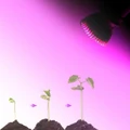 Full Spectrum 18 LED Grow Light Flower Plant Hydroponic Growth Bulb