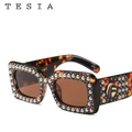 sunglasses Square Frame Punk Siamese Glasses Boutique Leopard Diamond Glass