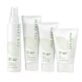 Mary Kay Botanical Effects Skin Care ( normal skin)