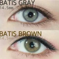 Batis (Gray/Brown)