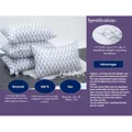 Premium quality poly fiber pillow with 100% cotton cover luxurious design