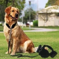 Retractable Belt Dog Leash Break & Lock LED Flashlight & Garbage Bags Waste Bags