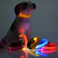 Reflective Flash Collar- Glow Led Collar Cat Dog Pet Flashing Light Up Safety Nylon Tag