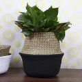Seagrass Knit Foldable Storage Basket Hanging Decorative Flower Pot Basket