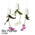 Sky planter Empty garden, creative flower pot, plastic hanging basin flower pot