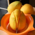 Mango Peach Fruit Slicer Splitter Cutter Pitter Corer Tools Craft Kitchen Tools